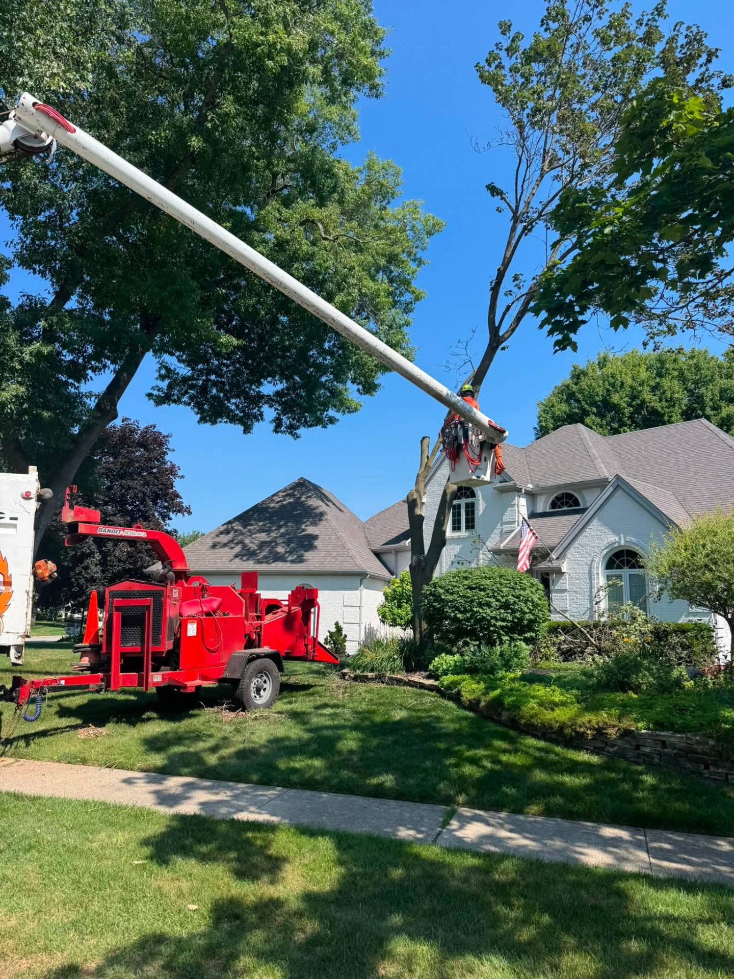 HPC crew member in a bucket truck taking down a large tree in front of a Toledo-area home
