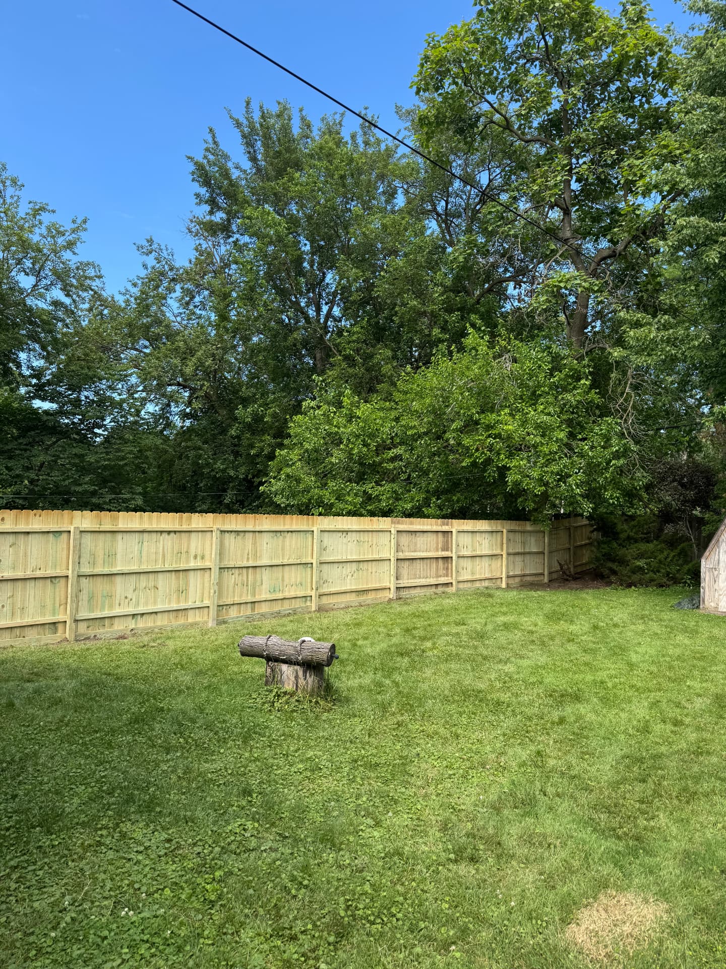 New pressure-treated privacy fence spanning a wooded back yard in the Toledo area