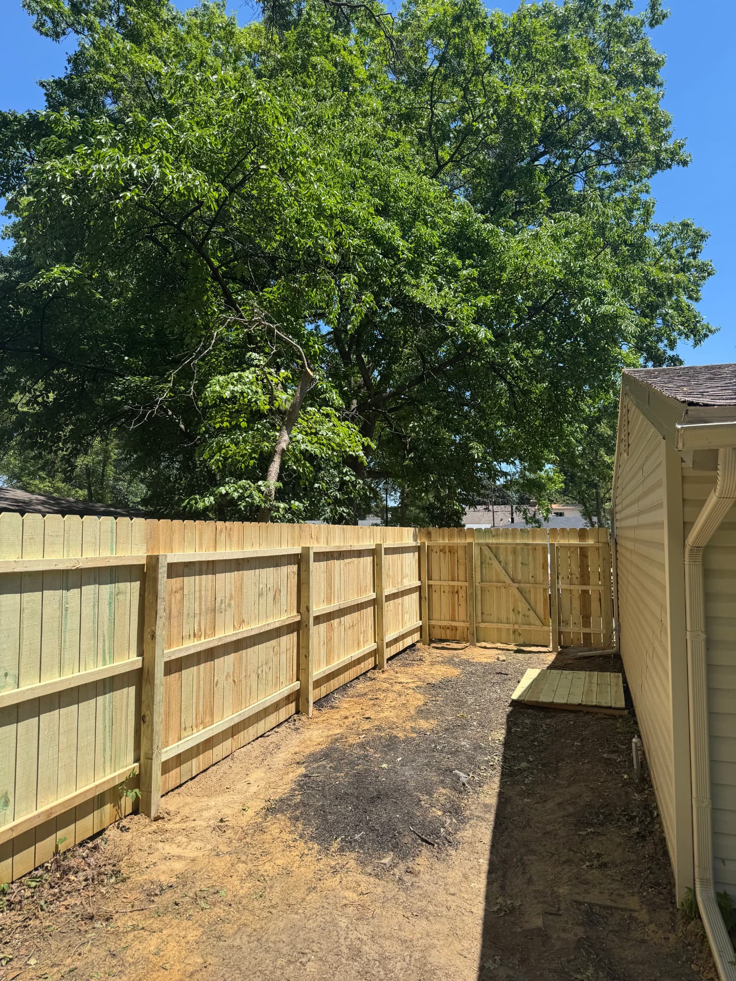New wood fence running beside a shed with a walk gate at the corner