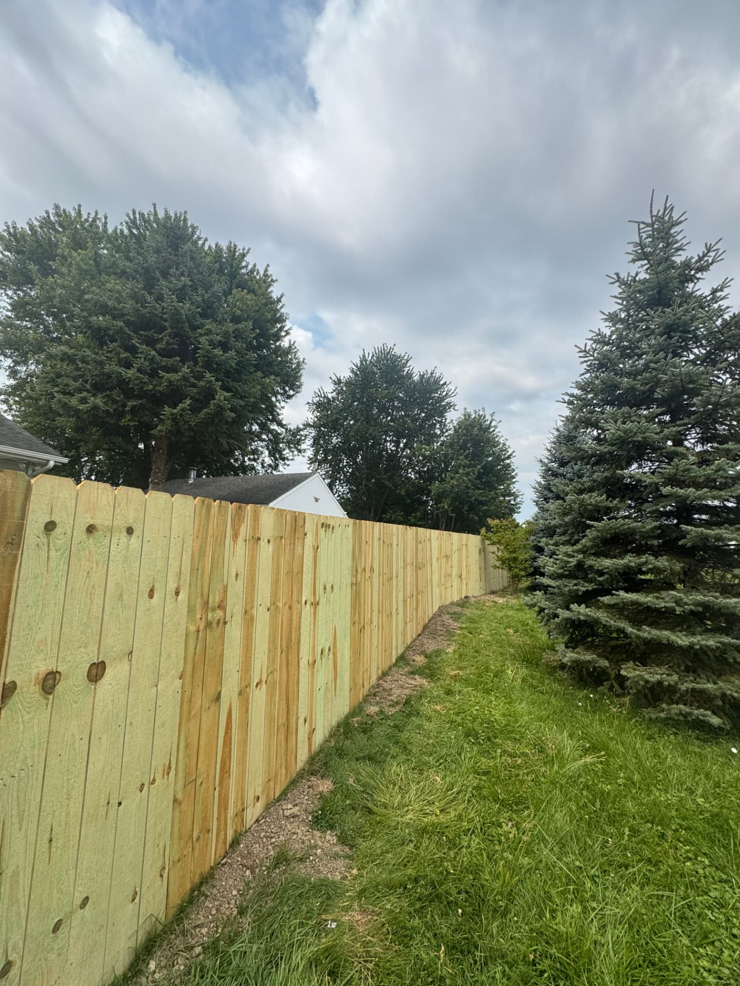 Long straight run of new dog-ear wood privacy fence along a back property line in the Toledo area