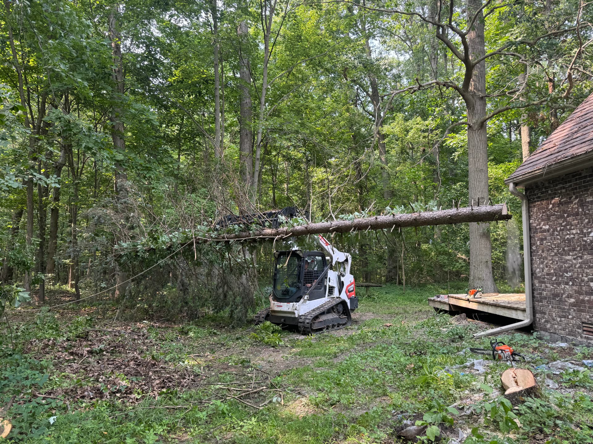Compact track loader carrying a felled tree trunk away from a house during a tree removal job